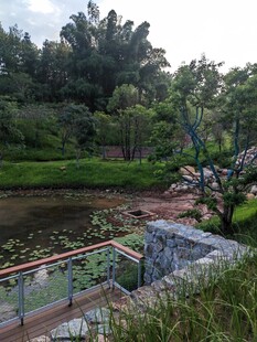 河畔园林景致