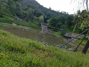 山间池塘边的自然景致