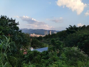山林间远眺城市风光