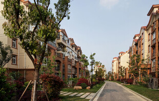 宁静的小区住宅街道景观