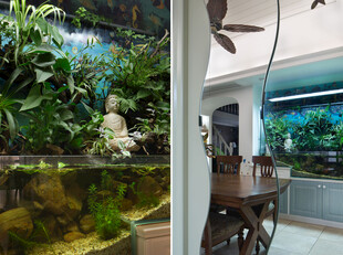 室内绿植与水族景观展示