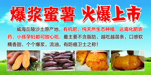 爆浆蜜薯上市 甜蜜来袭