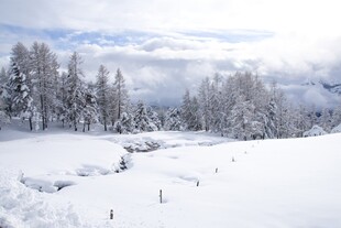 冬日雪景中的银白山林