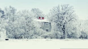 冬日雪景中的静谧小屋