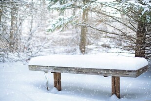 雪覆长凳
