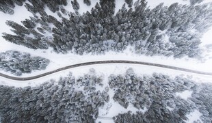 冬日雪林蜿蜒公路美景