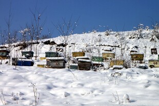 雪覆山村景色