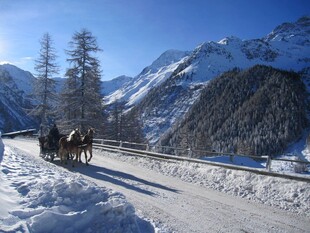 冬日雪山马车风景