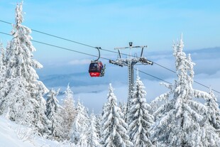 雪岭缆车穿梭于松林间