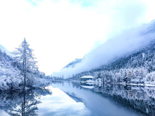 冬日雪覆河岸静谧美景