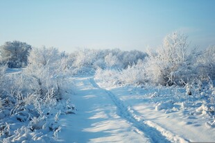 冬日雪覆小路美景