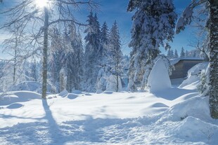 冬日雪景中的静谧森林小屋