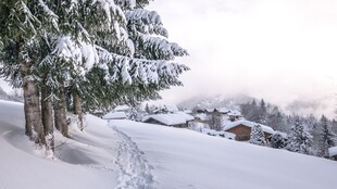 冬日雪覆村庄美景