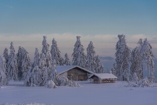 雪覆山林中的静谧小屋