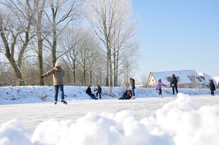 冬日户外雪地嬉戏场景