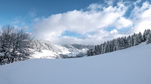 冬日雪景