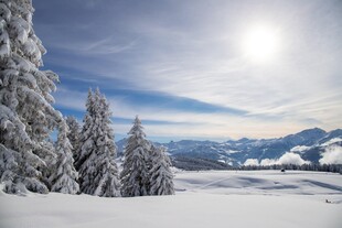 冬日雪景中的银白山林