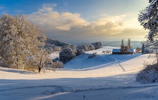 冬日雪景