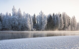 冬日湖畔雾凇美景