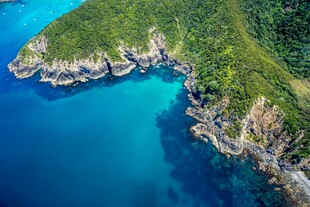 碧海环绕的翠绿海岸
