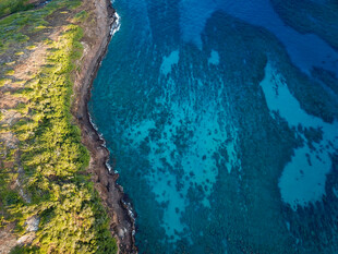 海岸边的清澈碧蓝海水