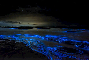 梦幻海洋夜景