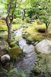 日式庭院中的潺潺溪流