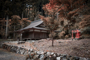 山林中的古朴小屋