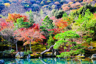 秋日湖景山林色彩斑斓