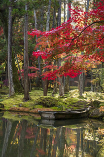 秋日枫林湖畔美景