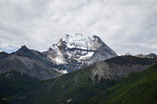 巍峨雪山与葱郁山林景观