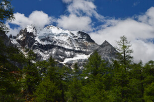 雪山森林美景