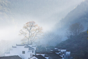 雾中乡村美景