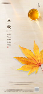 立秋