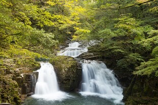 山间瀑布之绿意盎然美景