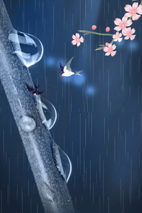 雨夜花枝旁的梦幻光影