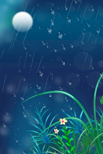 月夜雨景下的花草世界