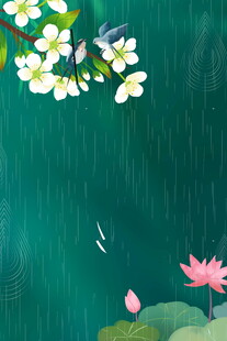雨中荷塘花卉飞鸟景致