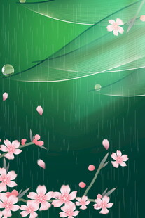 雨中飘落的粉嫩樱花