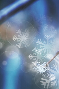 梦幻雪花特写