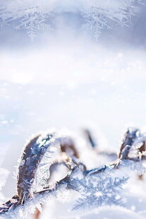 冰雪覆盖的金属链条