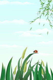 草丛上的瓢虫与葱郁绿植