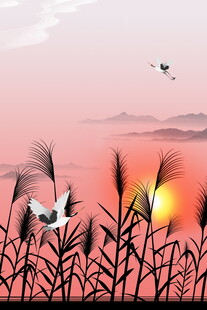 夕阳下芦苇与飞鸟美景