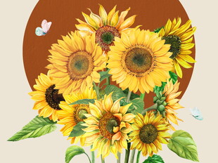 向日葵插画绽放的灿烂生机