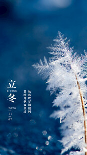 立冬时节的晶莹霜花