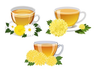 菊花茶插画
