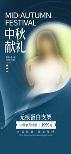 中秋航空主题节日海报