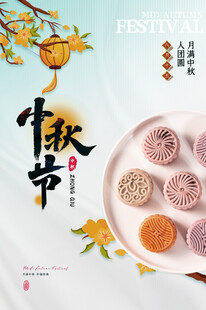 中秋佳节多彩月饼展示