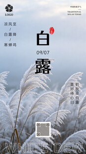 白露时节