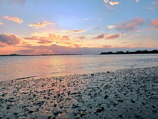 奥克兰海边日落美景